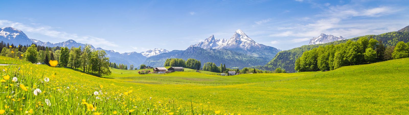 Landschap Oostenrijk in de zomer